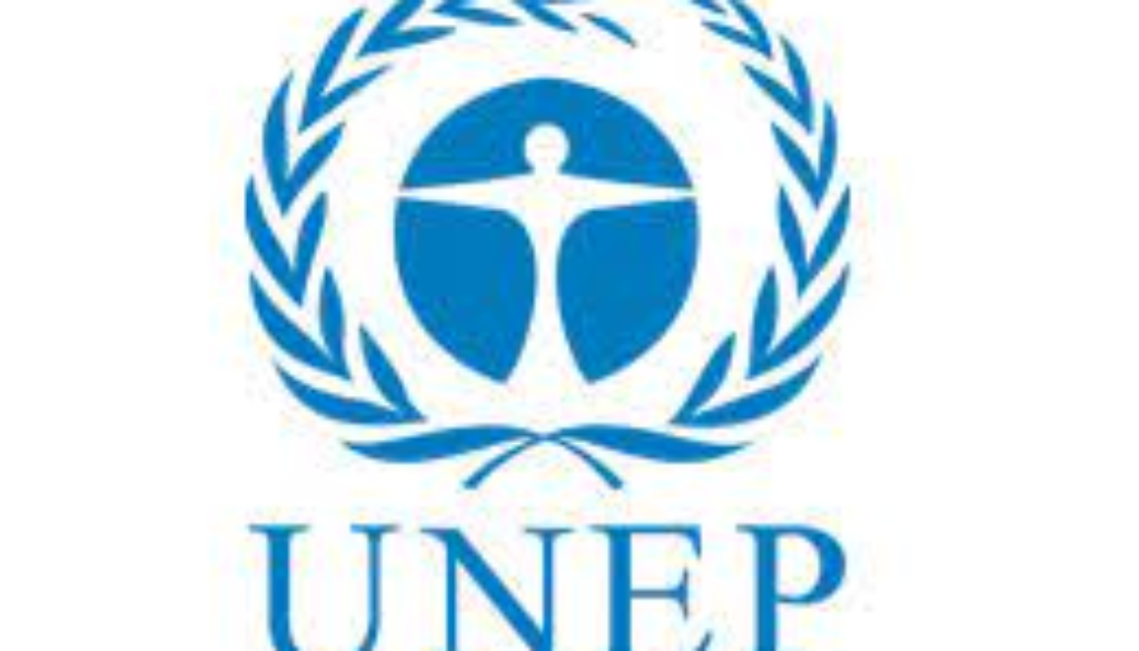 Consultant for the Joint SDG Fund for SIDS Vacancy Job Ref: VACUNEP0884-23